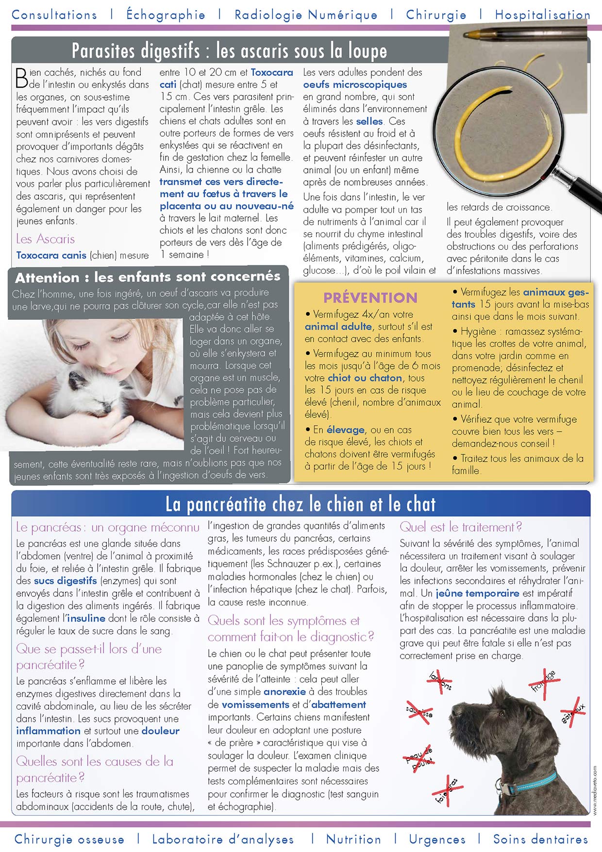 Journal de la Clinique - Hiver 2015-16 page 2