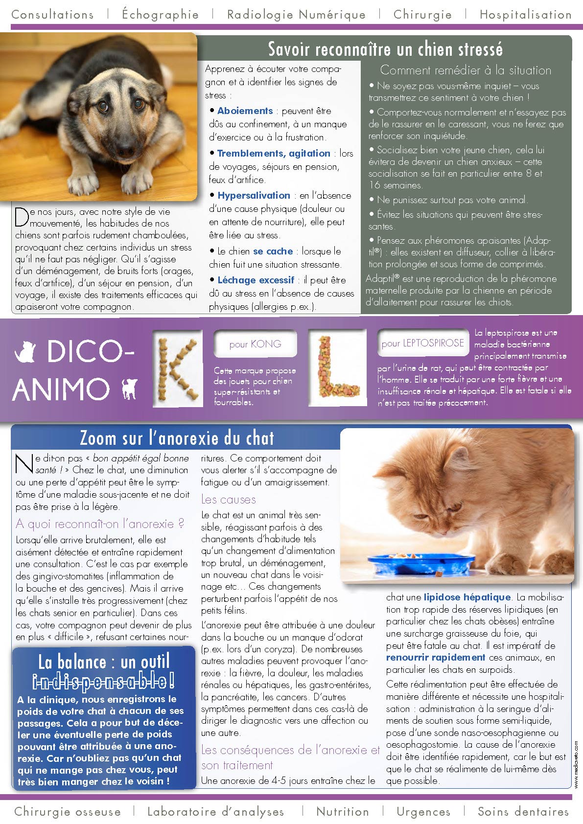 Journal de la Clinique - Automne 2016 page 2