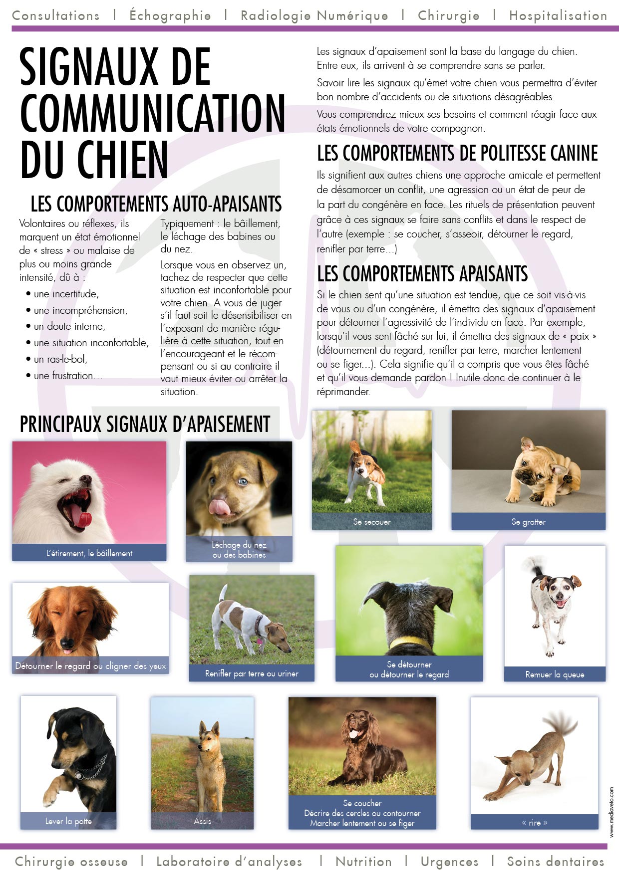 Journal de la Clinique - Été 2017 page 2