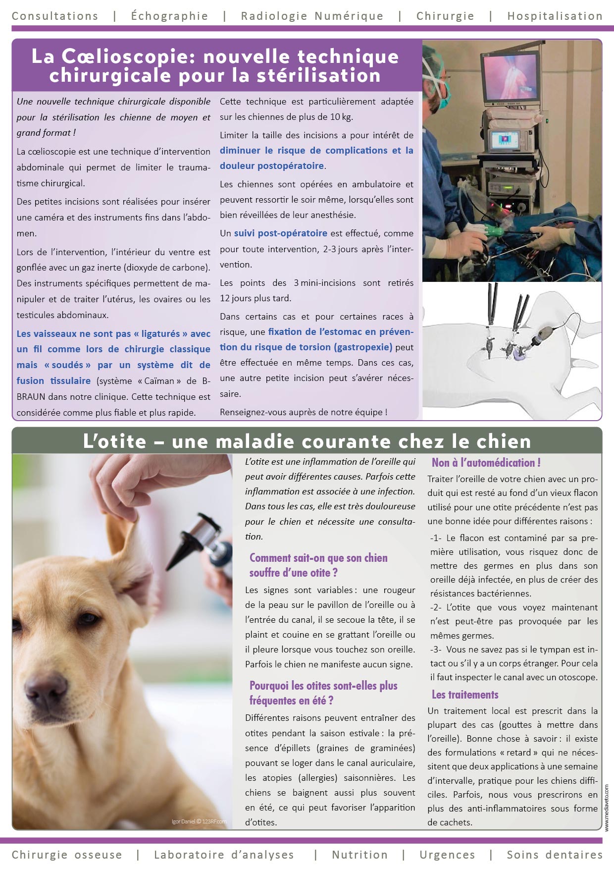 Journal de la Clinique - Été 2020 page 2