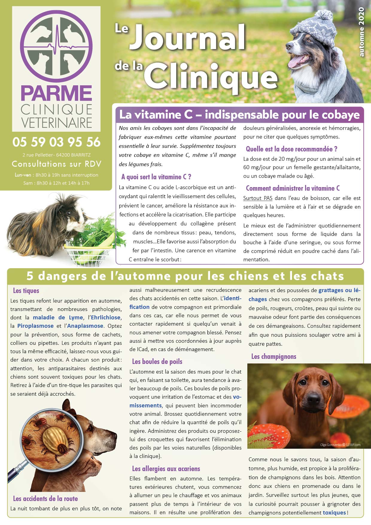 Journal de la Clinique - Automne 2020 page 1