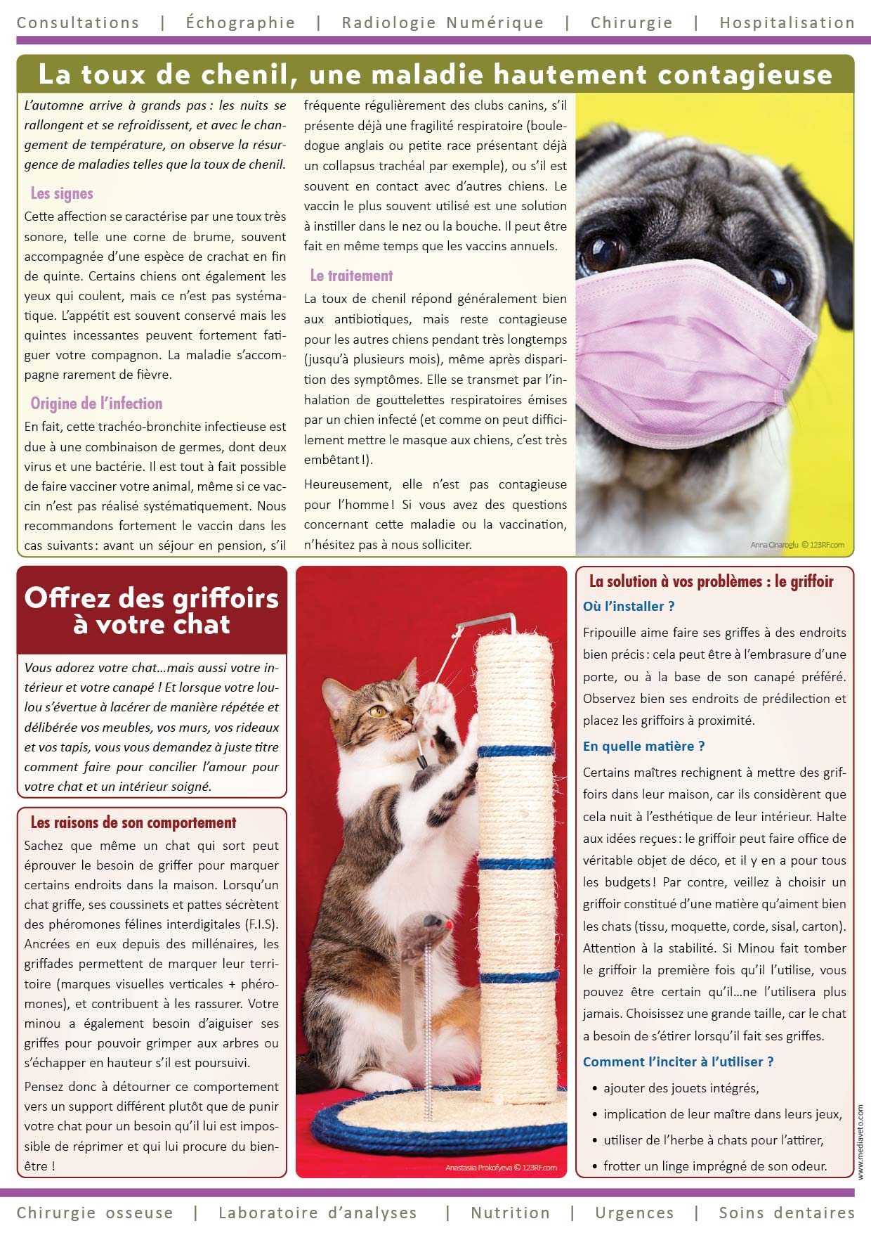 Journal de la Clinique - Automne 2020 page 2