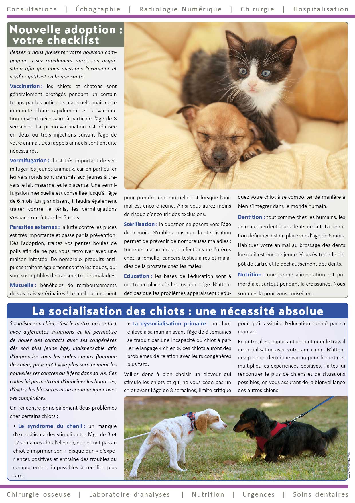 Journal de la Clinique - Printemps 2021 page 2