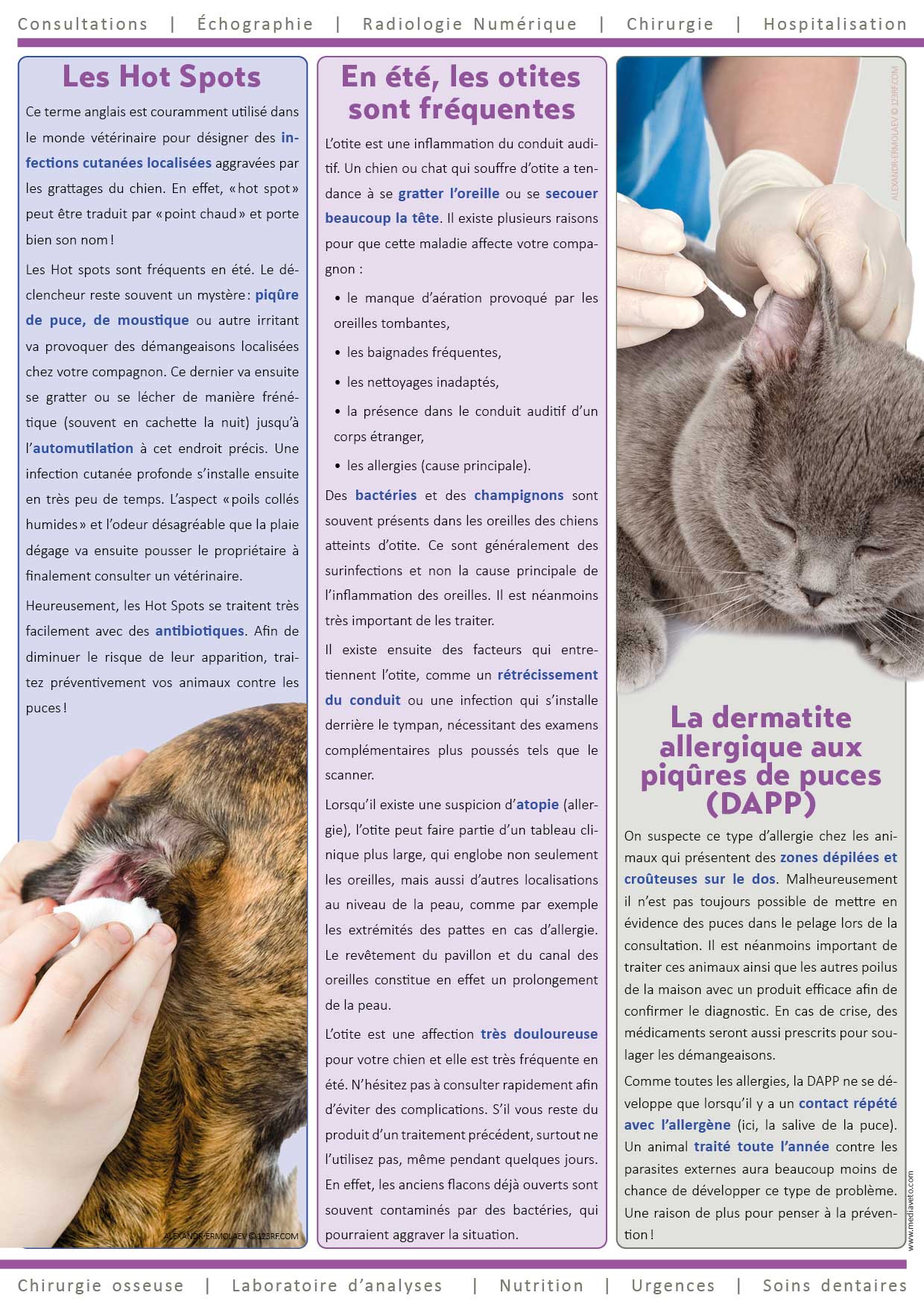 Journal de la Clinique - Été 2021 page 2