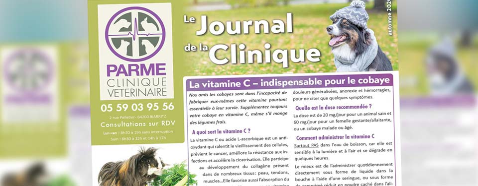 Journal de la Clinique automne 2020