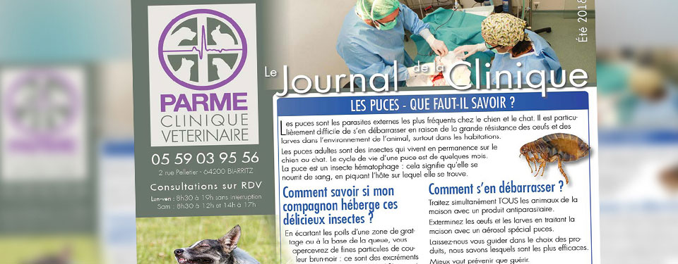 Journal de la Clinique été 2017-18