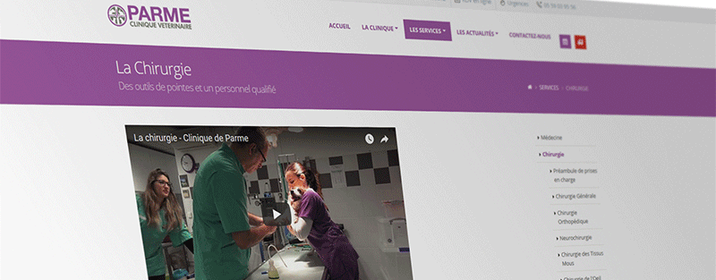 Nouveau site internet de la Clinique Vétérinaire de Parme