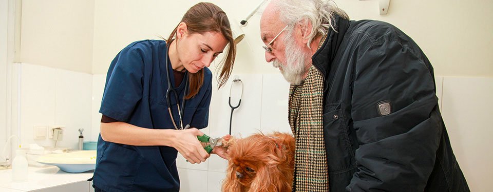 Bienvenue au Dr Virginie De Almeida