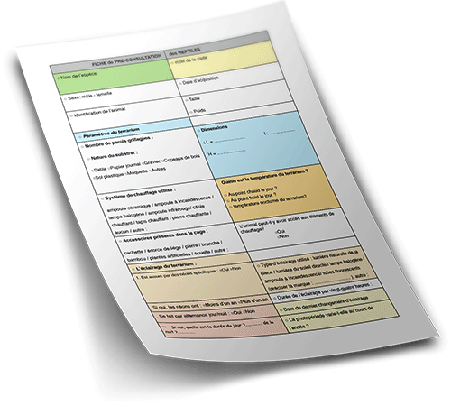 Fiche de pré-consultation reptiles