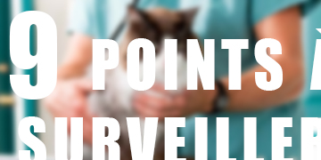 9 points à surveiller