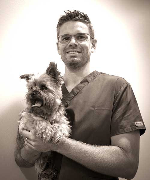 Dr Romain Male est en charge du service de dentisterie de la Clinique Vétérinaire de Parme